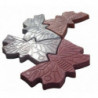 Buy plastic Butterfly mold | Online store KamelotNN.com