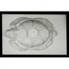 Moule en plastique Tortue acheter | Boutique en ligne KamelotNN.com